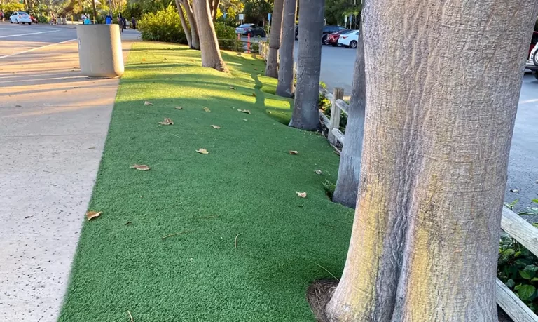 Artificial grass backyard