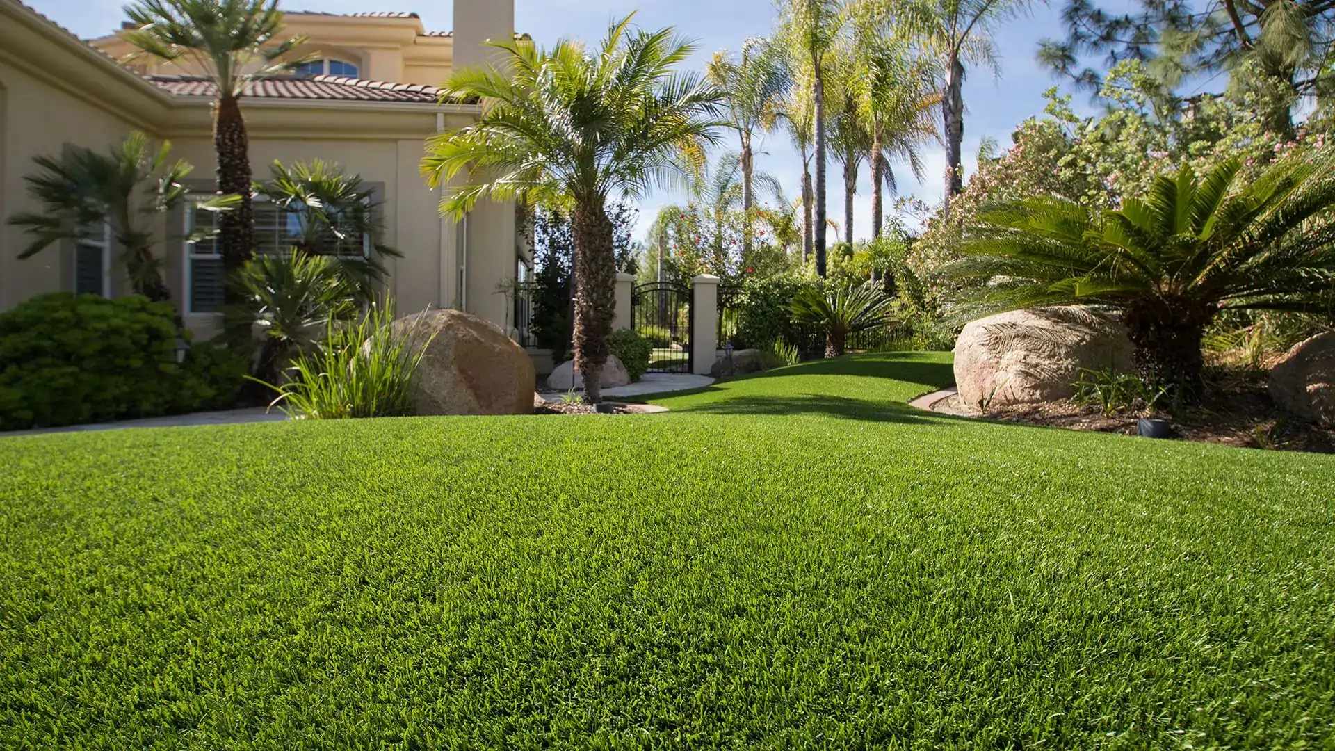 residential artificial grass lawn