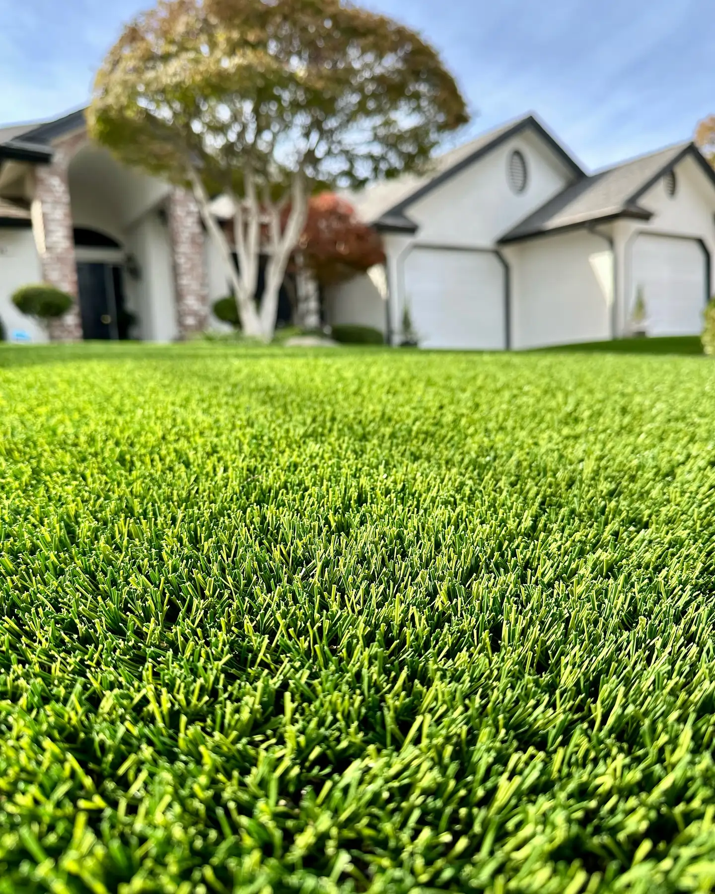 orange county artificial turf front yard lawn