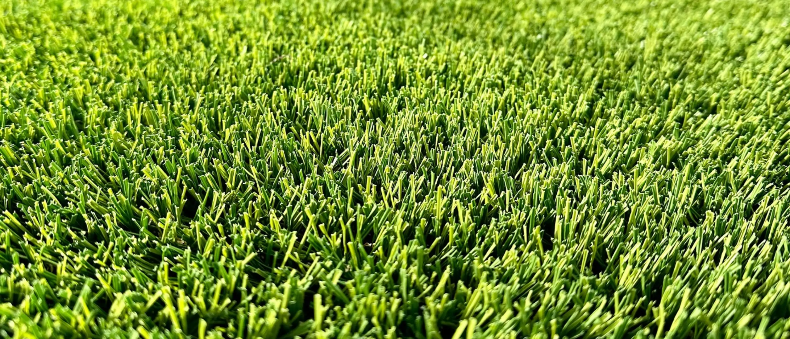orange county artificial turf